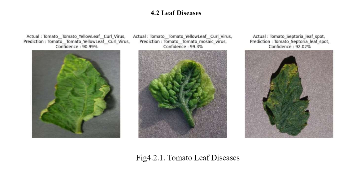 Leaf Disease Classification Model Using CNN preview